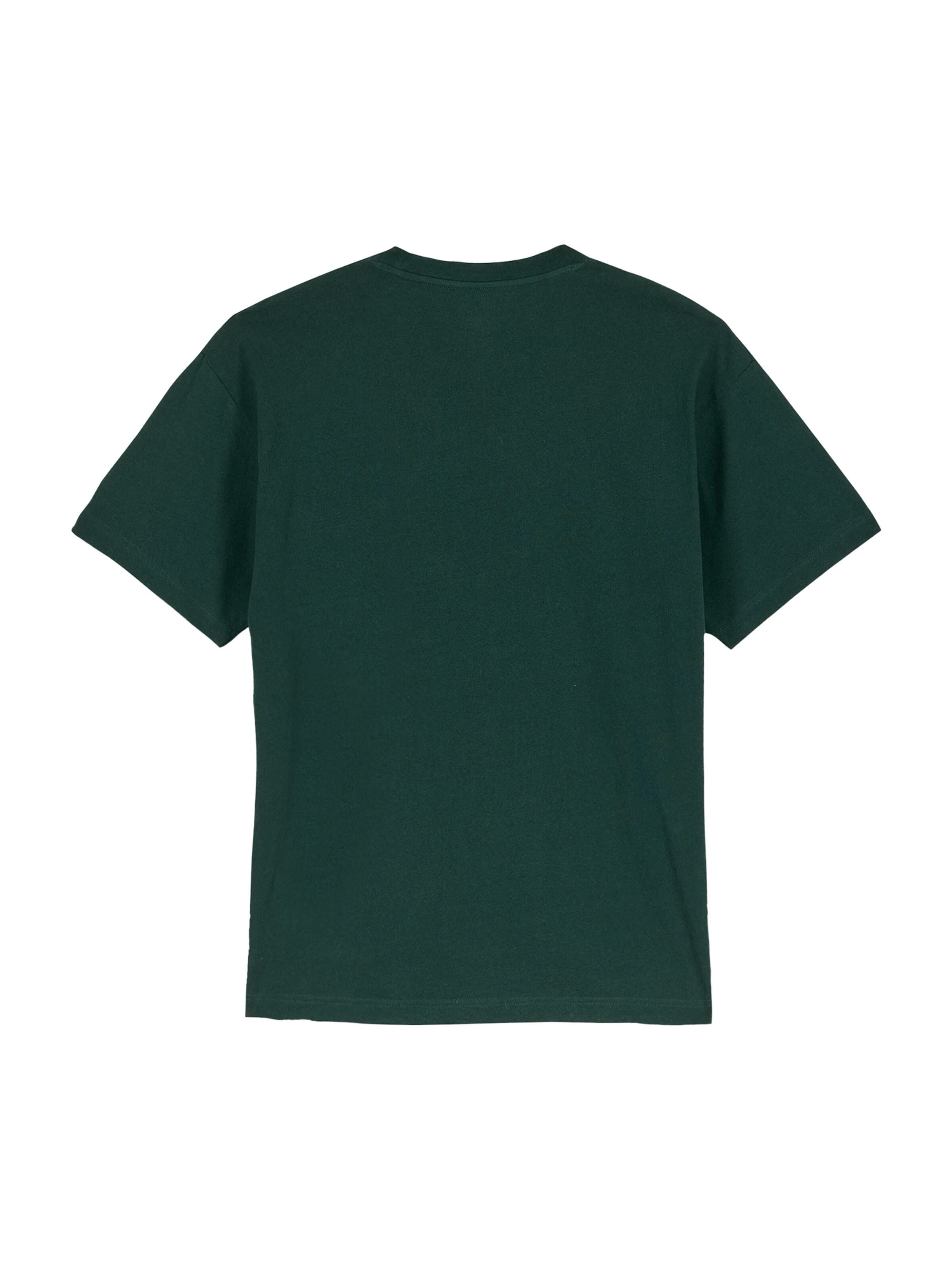 Volcom Shirt 'Stone' in Green