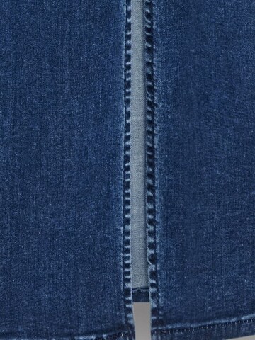 Dilvin Dress in Blue
