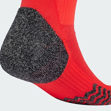 ADIDAS PERFORMANCE Sportsocken 'Benfica Lissabon 25/26' in Rot