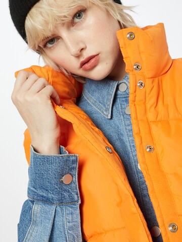 Gilet WEEKDAY en orange