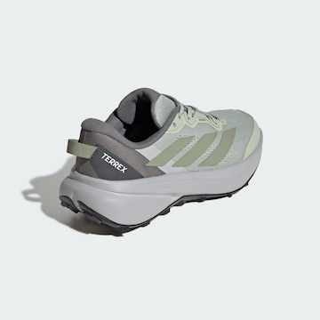 ADIDAS TERREX Loopschoen 'Tracefinder Plus' in Grijs
