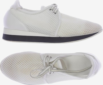 Max Mara Sneakers & Trainers in 39 in White: front