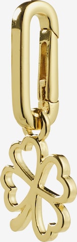 Pilgrim Riipus värissä kulta: etupuoli