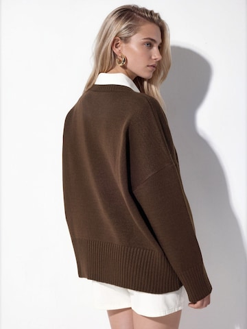 Hiccup - Pullover 'Pullover' em castanho