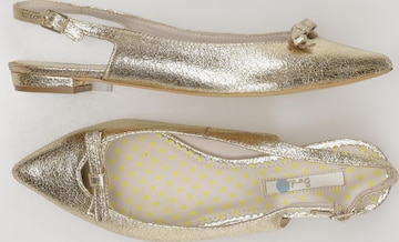 Boden Ballerina 38 in Gold: predná strana