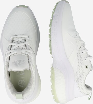 Chaussure de sport ADIDAS GOLF en blanc