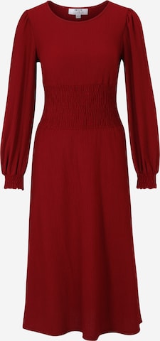 Dorothy Perkins Petite Dress 'Berry' in Red: front