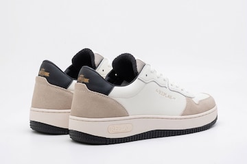 Baskets basses REPLAY en beige
