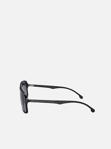 Carrera Sunglasses in Black