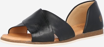 Apple of Eden Sandals 'Chiusi' in Black: front