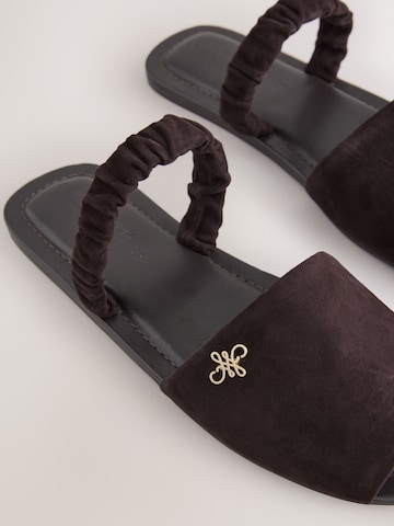 Next Mules in Brown