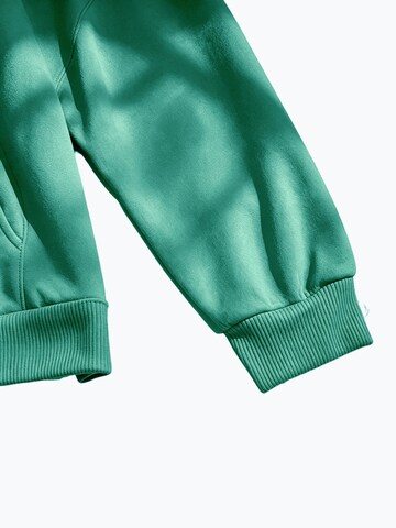 GORHEY Sweatshirt in Groen