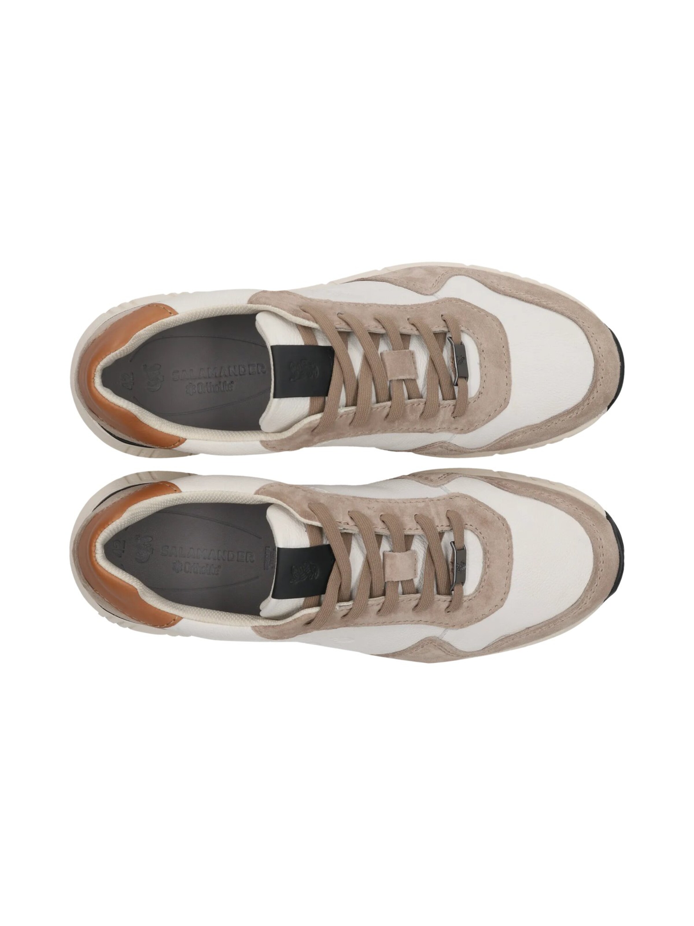 SALAMANDER Sneakers in Beige