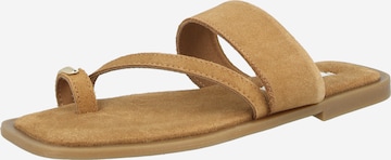 STEVE MADDEN Босоножки через палец 'Ellaina' в Бежевый: спереди