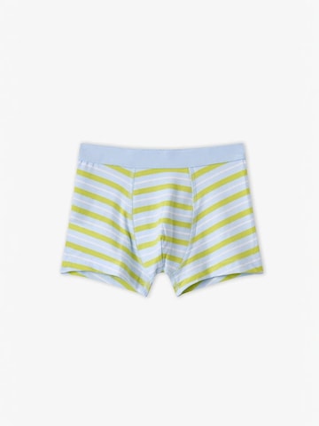 Penti Alsónadrág 'PENTI Jungen Boxershorts Capybaras Space' - vegyes színek