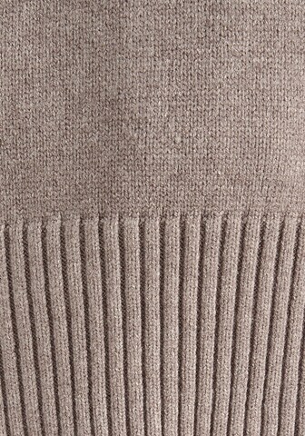 HECHTER PARIS Pullover in Braun