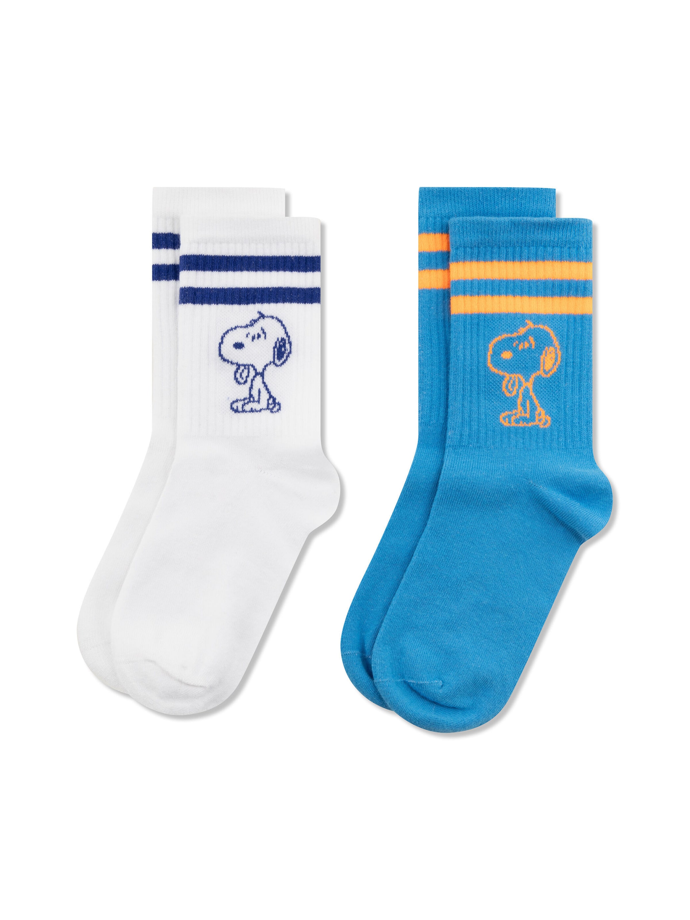 CODELLO Socks in Blue: front