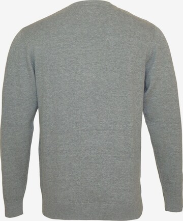 Pull-over U.S. POLO ASSN. en gris