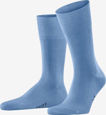 Calzino di FALKE in blu: frontale