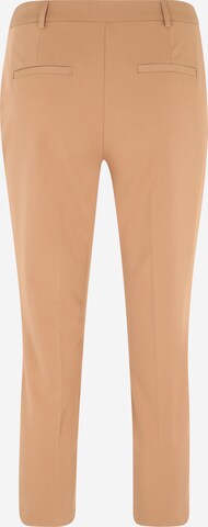 Dorothy Perkins Petite Regular Trousers with creases in Brown
