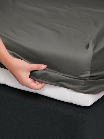 ESSENZA Bed Sheet in Grey