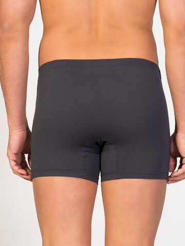 zd ZERO DEFECTS Boxer shorts 'Breno MicroModal® Boxer' in Grey