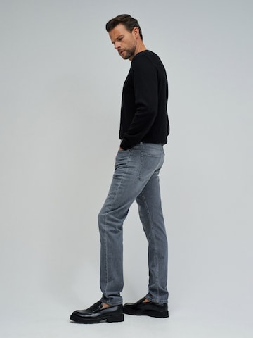 Salsa Jeans Slimfit Jeans in Grau