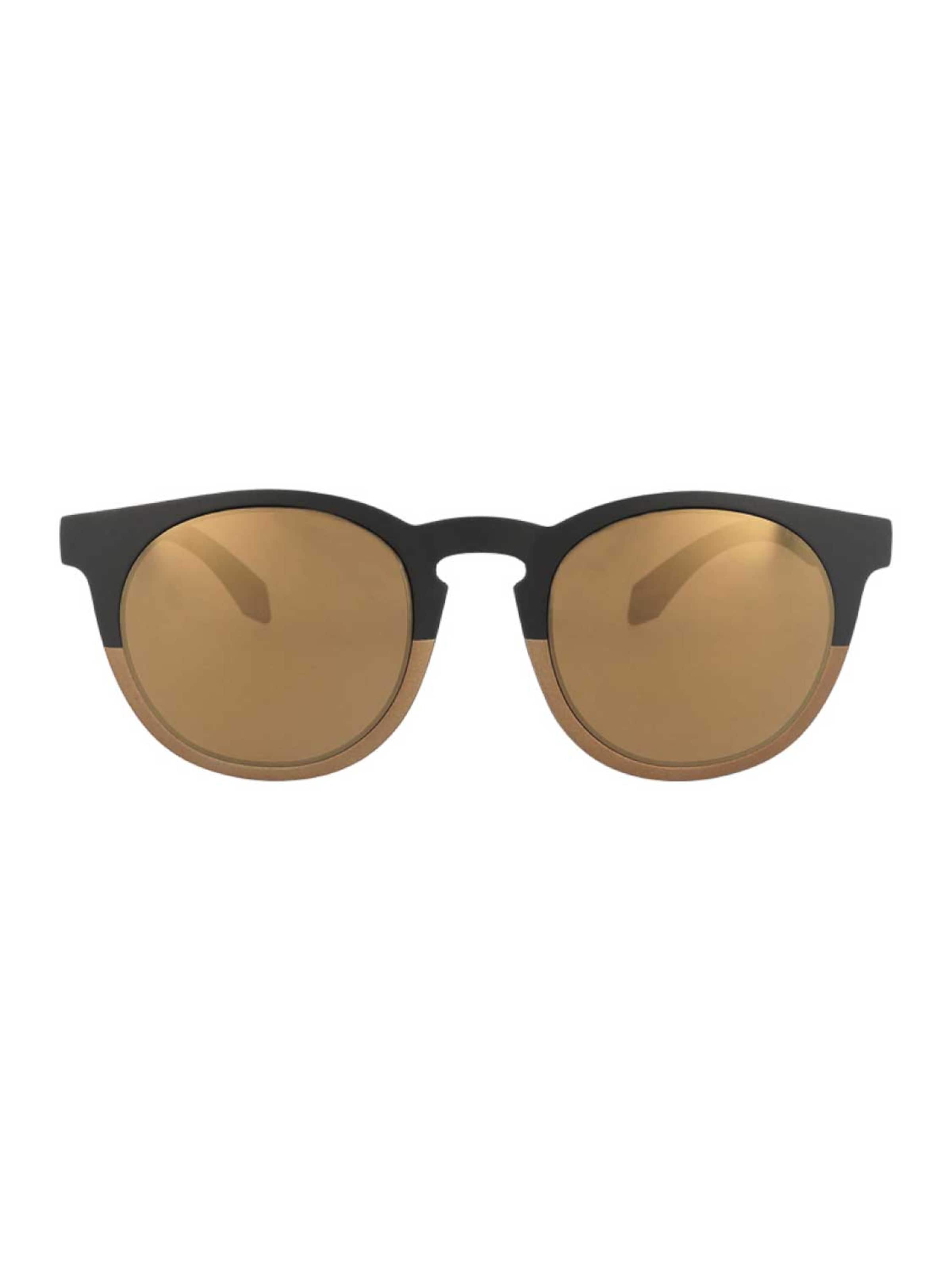 Alsteca Sunglasses 'Wynwood C30' in Brown: front