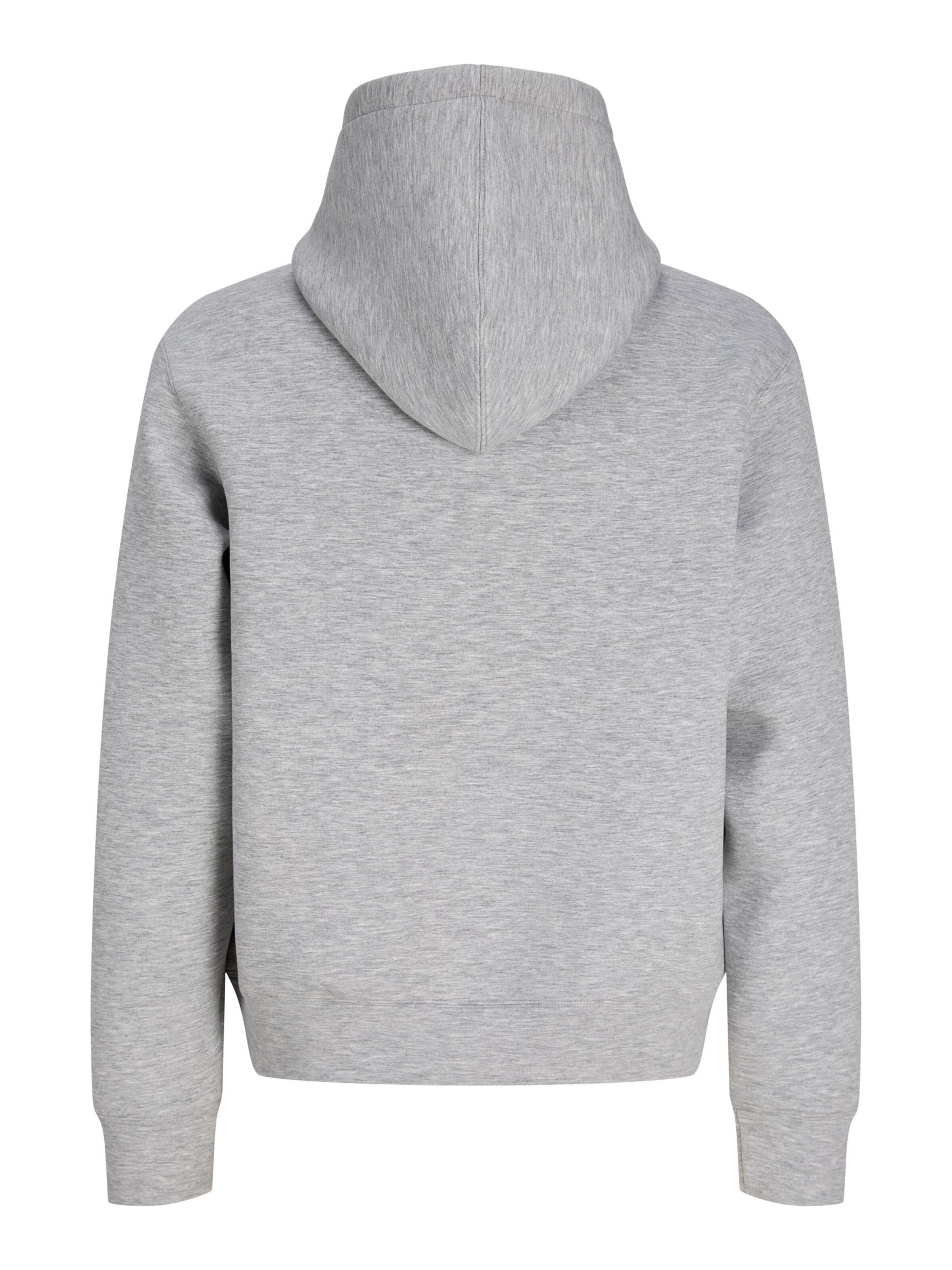 Felpa di JACK & JONES in grigio