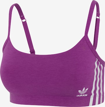 ADIDAS ORIGINALS Bra 'Scoop Originals' in Purple: front
