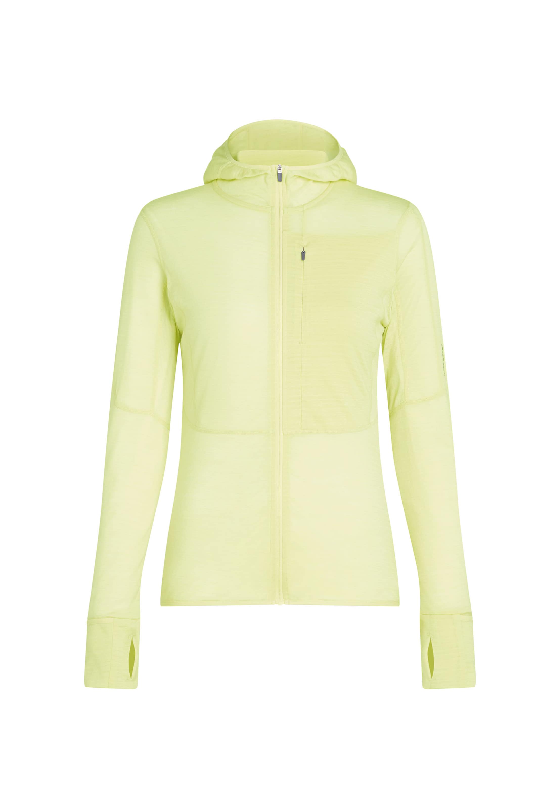 ICEBREAKER Tussenjas 'W Mer 200 Realfleece Descender LS Zip H' in Groen: voorkant