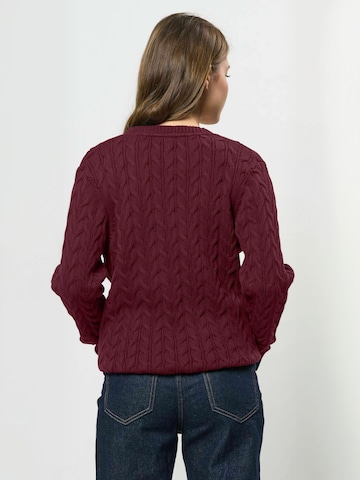 Geacă tricotată ' UW V-neck ' de la U.S. POLO ASSN. pe roșu