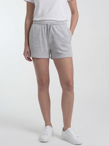 Antargo Regular Pants in Grey: front