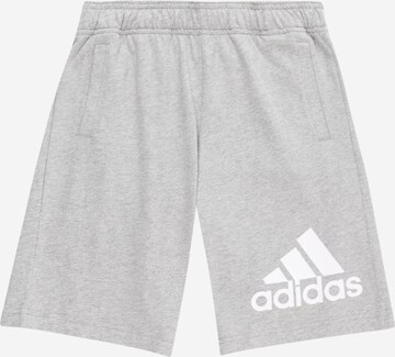 ADIDAS SPORTSWEAR Regular Workout Pants 'Essentials Big Logo ' in Grey: front