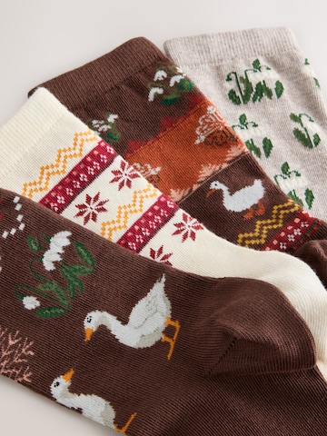Chaussettes Next en multicouleur