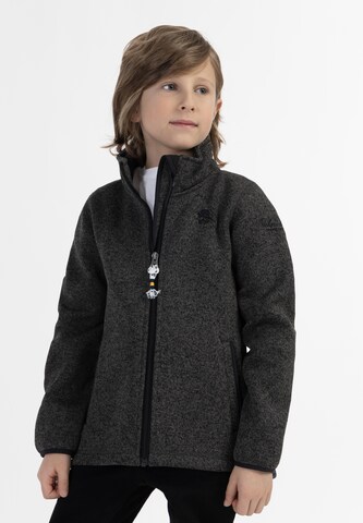 Schmuddelwedda Fleece Jacket in Grey: front