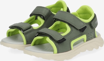 Chaussures ouvertes GEOX en vert