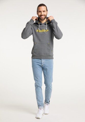 Schmuddelwedda - Sweatshirt em cinzento