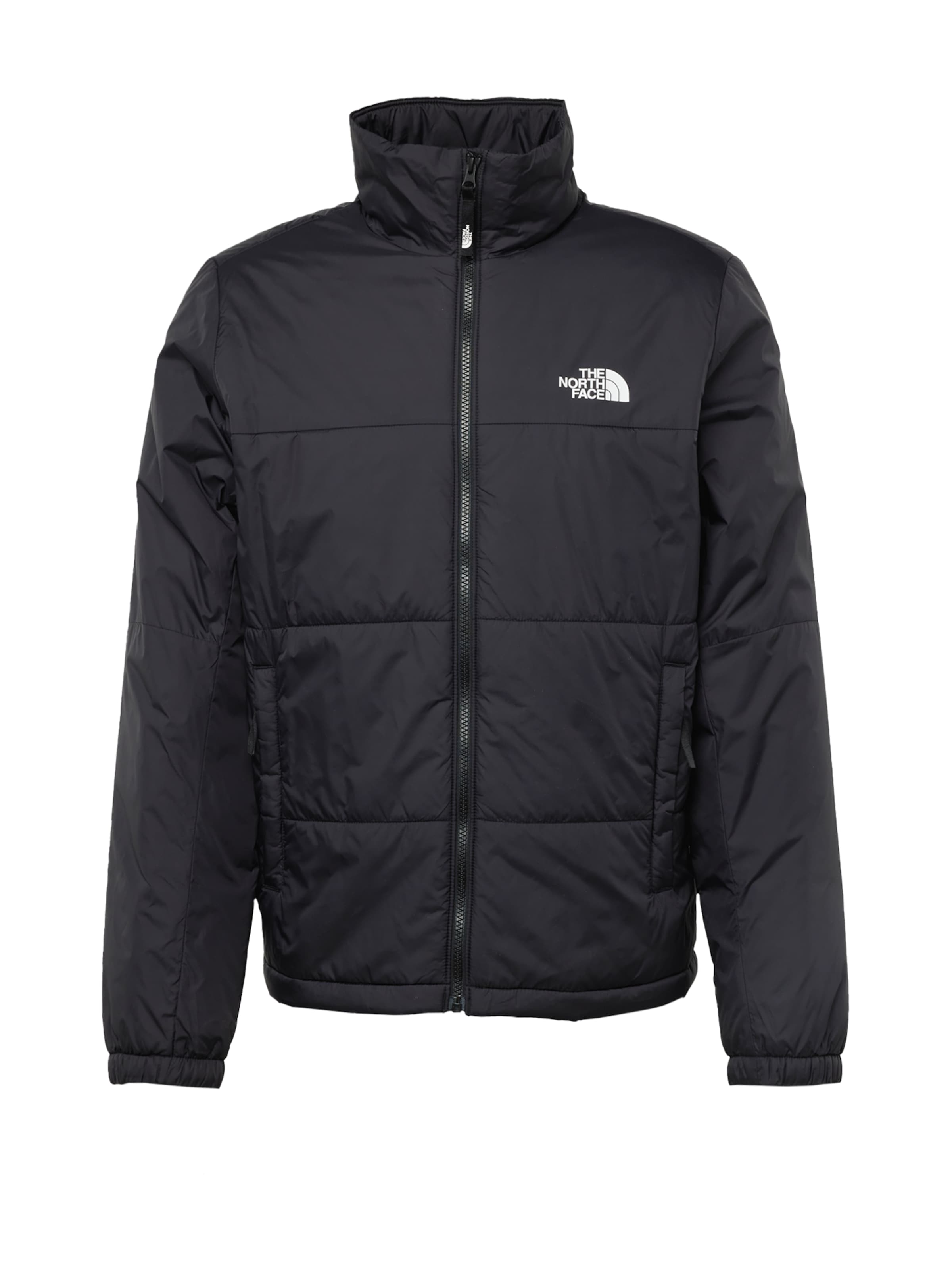 Giacca invernale 'Gosei' di THE NORTH FACE in nero: frontale