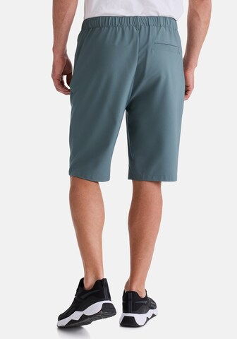 Stooker Men Regular Shorts 'Beno' in Grün