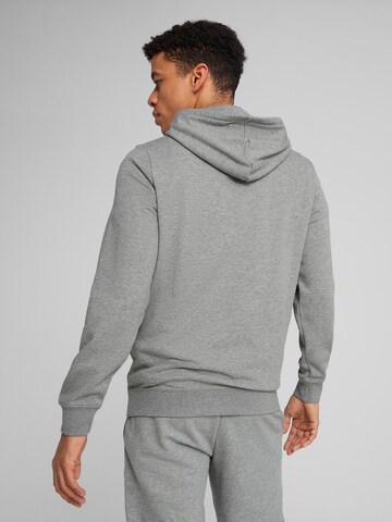 PUMA Спортивный свитшот 'ESS No. 1' в Серый