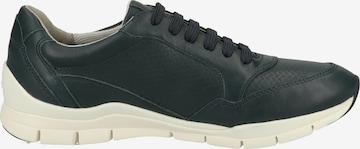 GEOX Sneaker 'Sukie' in Blau