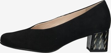 HASSIA Pumps in Schwarz