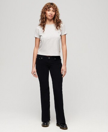 Superdry Flared Pants in Black