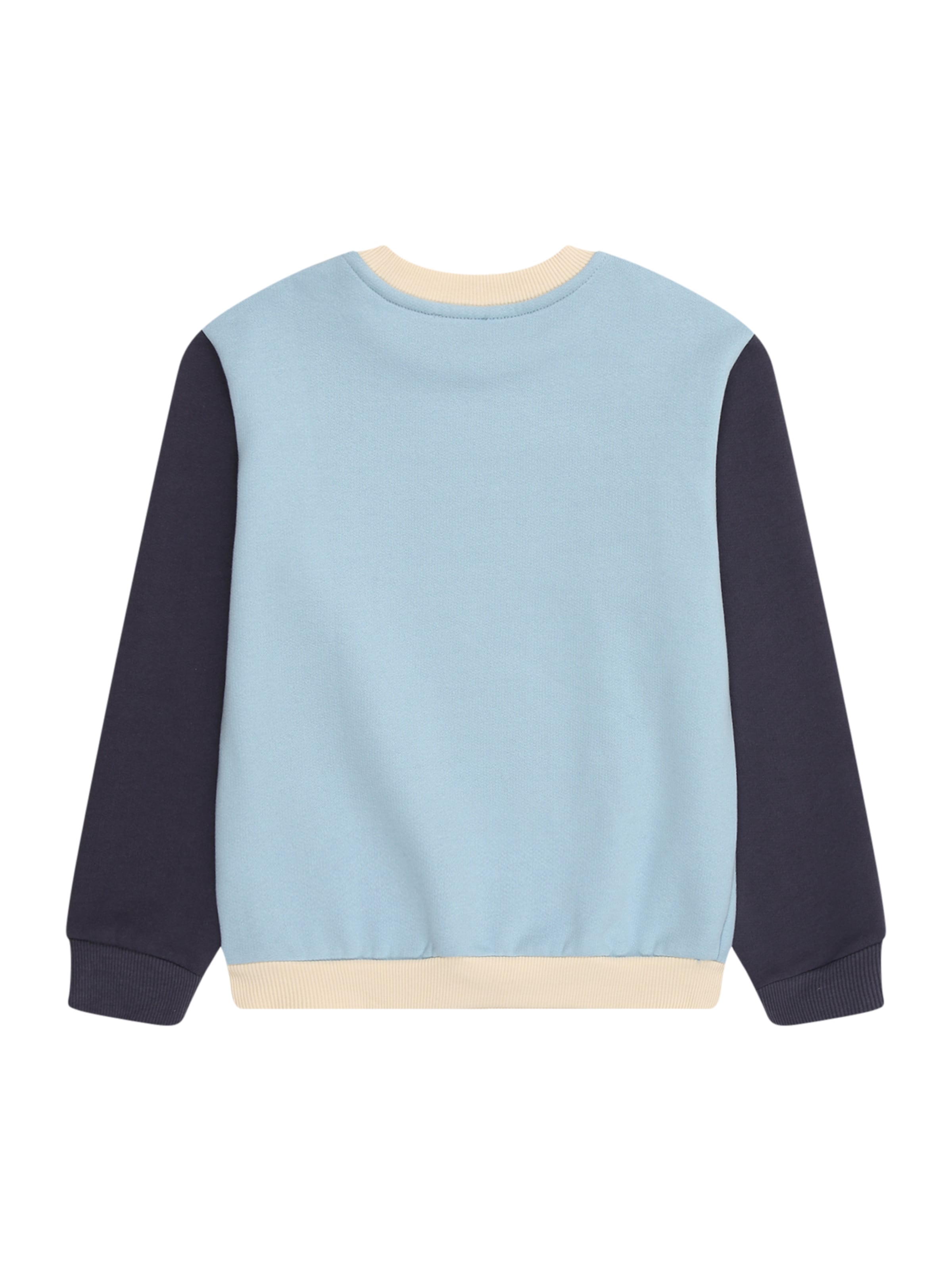 UNITED COLORS OF BENETTON Свитшот в Синий