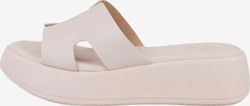 Desa Mules in Pink: front
