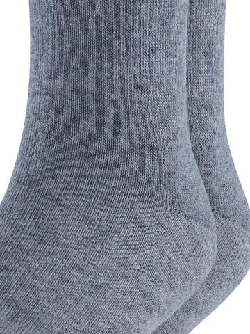 ESPRIT Socken 'Foot Logo 2-Pack'‌‌ in Grau