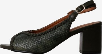 POTI PATI Pumps 'Supermodische Pumps' in Green: front