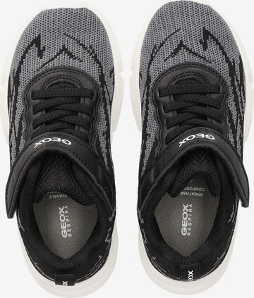 GEOX Sneakers in Black