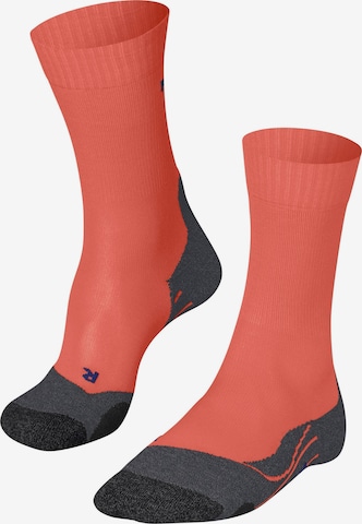 FALKE Athletic Socks 'TK2 Cool' in Orange: front